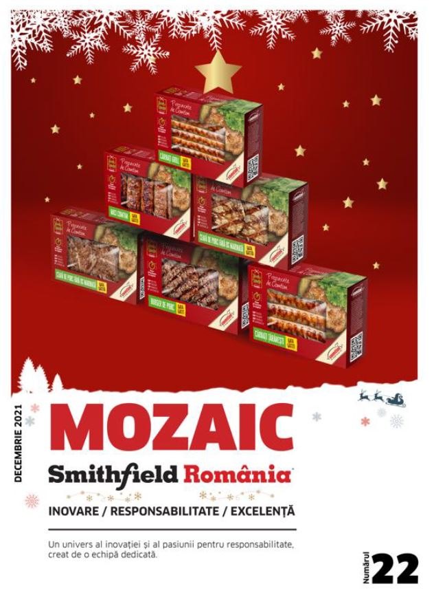 Revista Mozaic nr.22