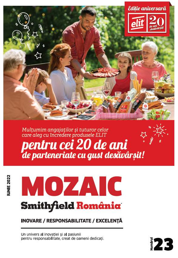 Revista Mozaic nr.23