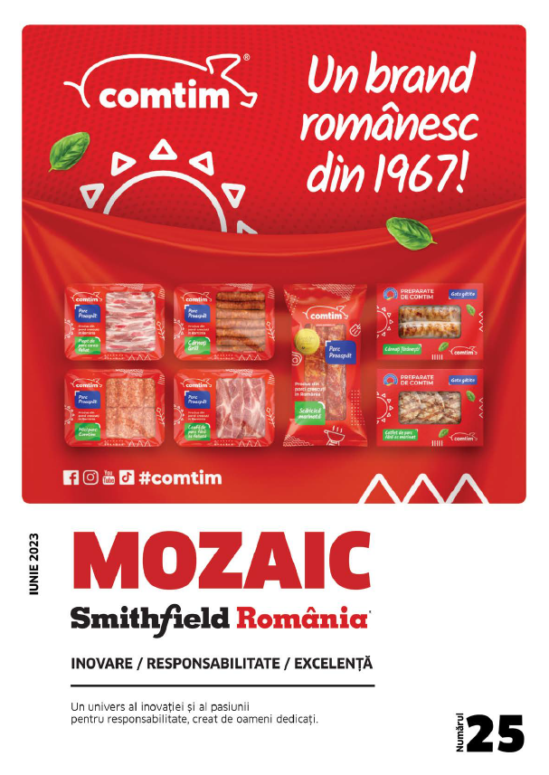 Revista Mozaic nr.25