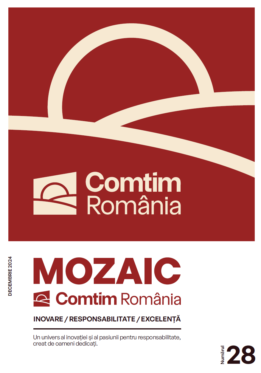 Revista Mozaic nr.28